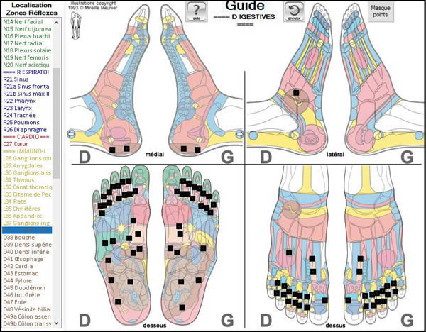 Recherche de zones réflexes ReflexoEXPERT