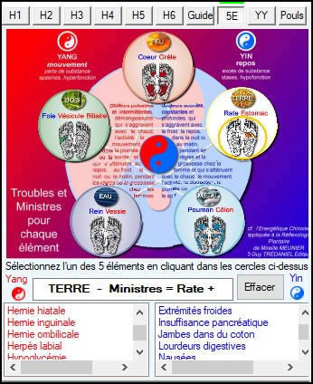 Les 5 elements et leurs troubles  ReflexoEXPERT