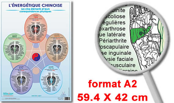 Poster Reflexologie Energetique Chinoise Mireille Meunier