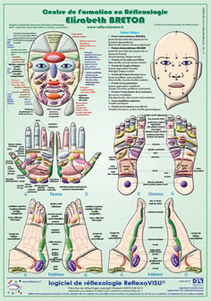 Poster Reflexologie Elisabeth BRETON